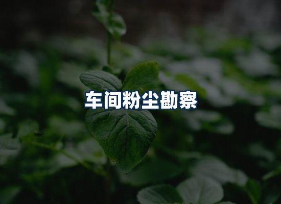 专业团队办公环境